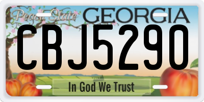GA license plate CBJ5290