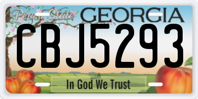 GA license plate CBJ5293