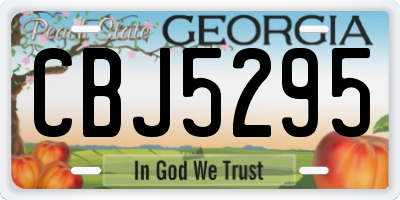 GA license plate CBJ5295