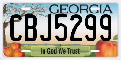 GA license plate CBJ5299