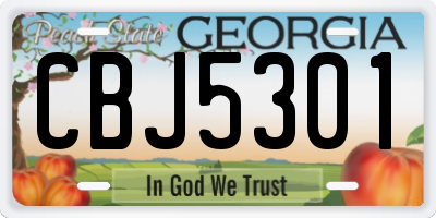 GA license plate CBJ5301