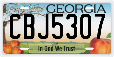 GA license plate CBJ5307