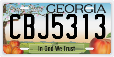 GA license plate CBJ5313