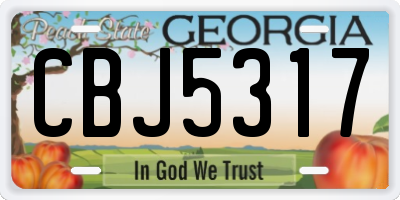 GA license plate CBJ5317