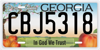 GA license plate CBJ5318
