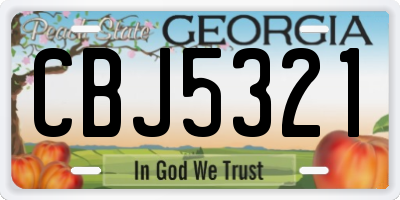 GA license plate CBJ5321