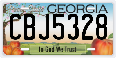 GA license plate CBJ5328