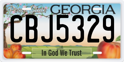 GA license plate CBJ5329