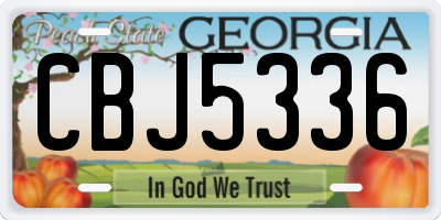 GA license plate CBJ5336