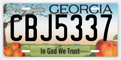 GA license plate CBJ5337