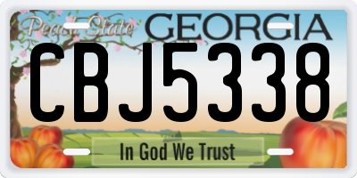 GA license plate CBJ5338