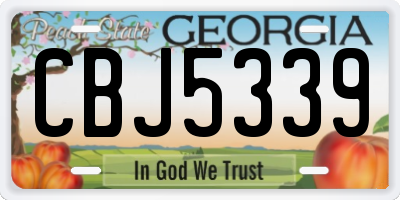GA license plate CBJ5339