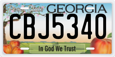 GA license plate CBJ5340