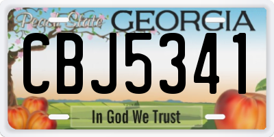 GA license plate CBJ5341