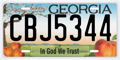 GA license plate CBJ5344
