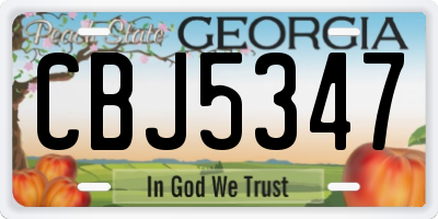 GA license plate CBJ5347