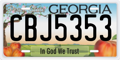 GA license plate CBJ5353
