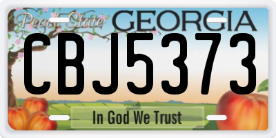 GA license plate CBJ5373
