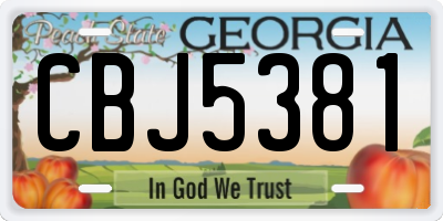 GA license plate CBJ5381