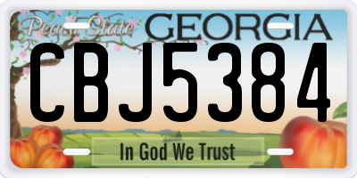 GA license plate CBJ5384