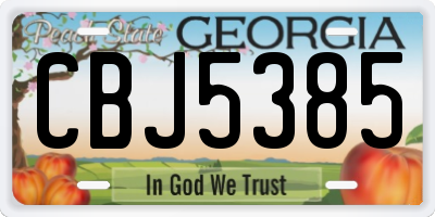 GA license plate CBJ5385
