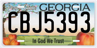 GA license plate CBJ5393