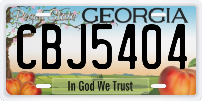 GA license plate CBJ5404