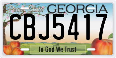 GA license plate CBJ5417