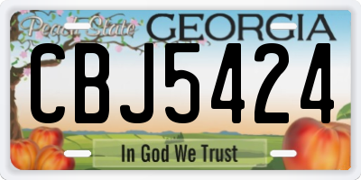 GA license plate CBJ5424