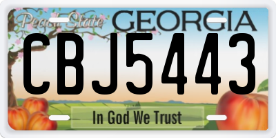 GA license plate CBJ5443