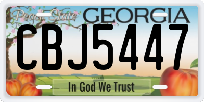 GA license plate CBJ5447