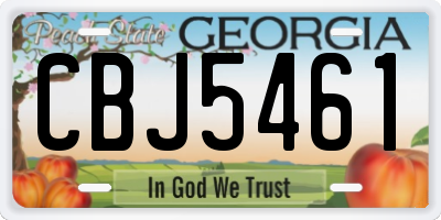 GA license plate CBJ5461