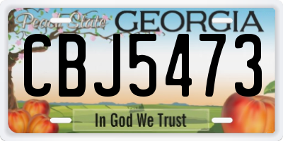 GA license plate CBJ5473