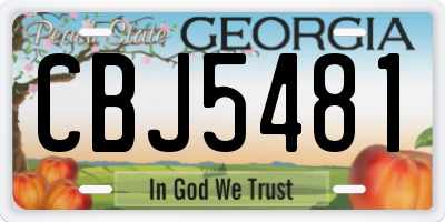 GA license plate CBJ5481