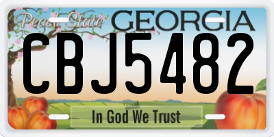 GA license plate CBJ5482