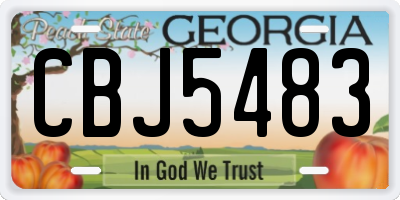 GA license plate CBJ5483