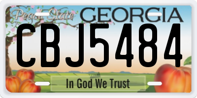 GA license plate CBJ5484