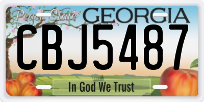 GA license plate CBJ5487