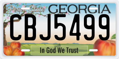 GA license plate CBJ5499