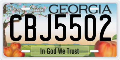 GA license plate CBJ5502