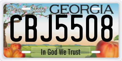 GA license plate CBJ5508
