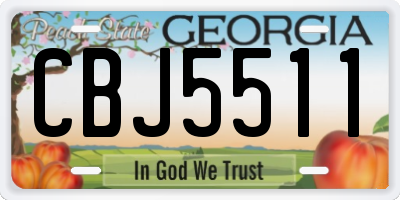 GA license plate CBJ5511