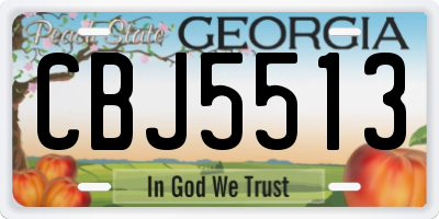 GA license plate CBJ5513