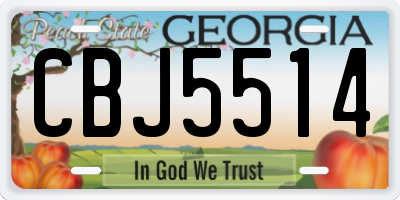 GA license plate CBJ5514