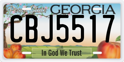 GA license plate CBJ5517