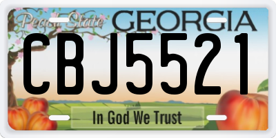 GA license plate CBJ5521