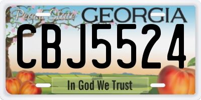 GA license plate CBJ5524