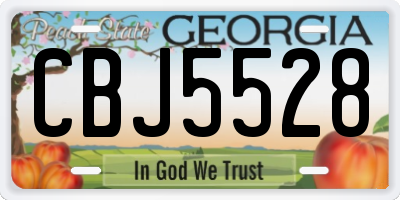 GA license plate CBJ5528