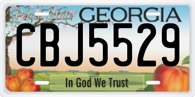 GA license plate CBJ5529