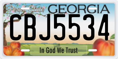 GA license plate CBJ5534